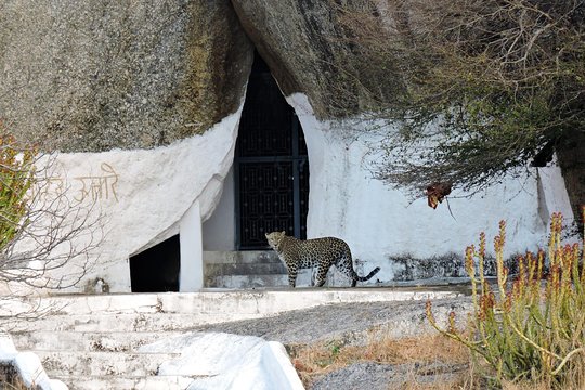 Tour image 7