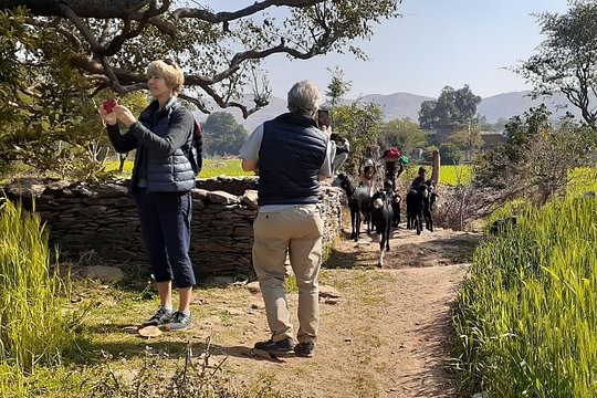 Tour image 4