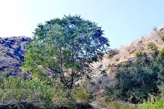 Tour image 8
